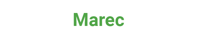 Marec﻿