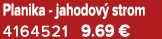 Planika jahodov strom 4164521 9.69 €