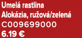 Umel rastlina Alok zia, ru ov /zelen  C009699000 6.19 €