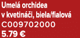 Umel orchidea v kvetin  i, biela/fialov  C009702000 5.79 €