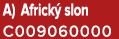 A) Africk slon C009060000